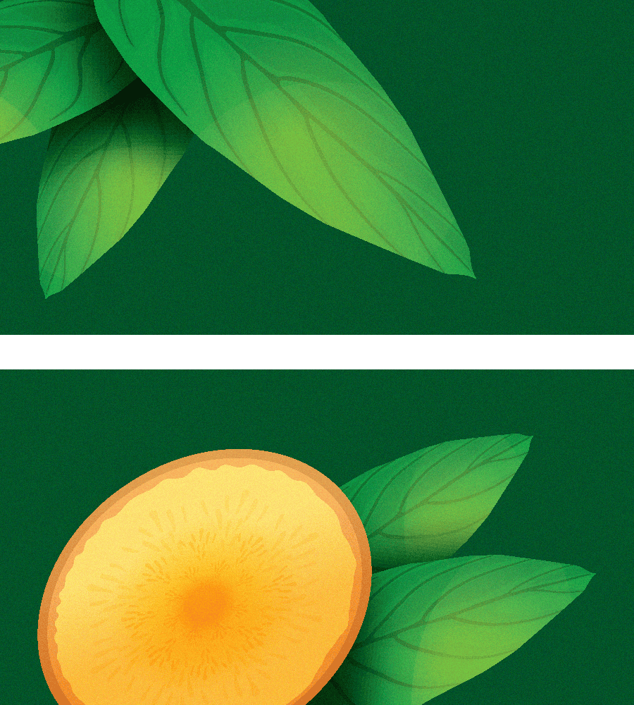 Détail des éléments visuels du soda cocktail Ginger Ale sans alcool du groupe Casino